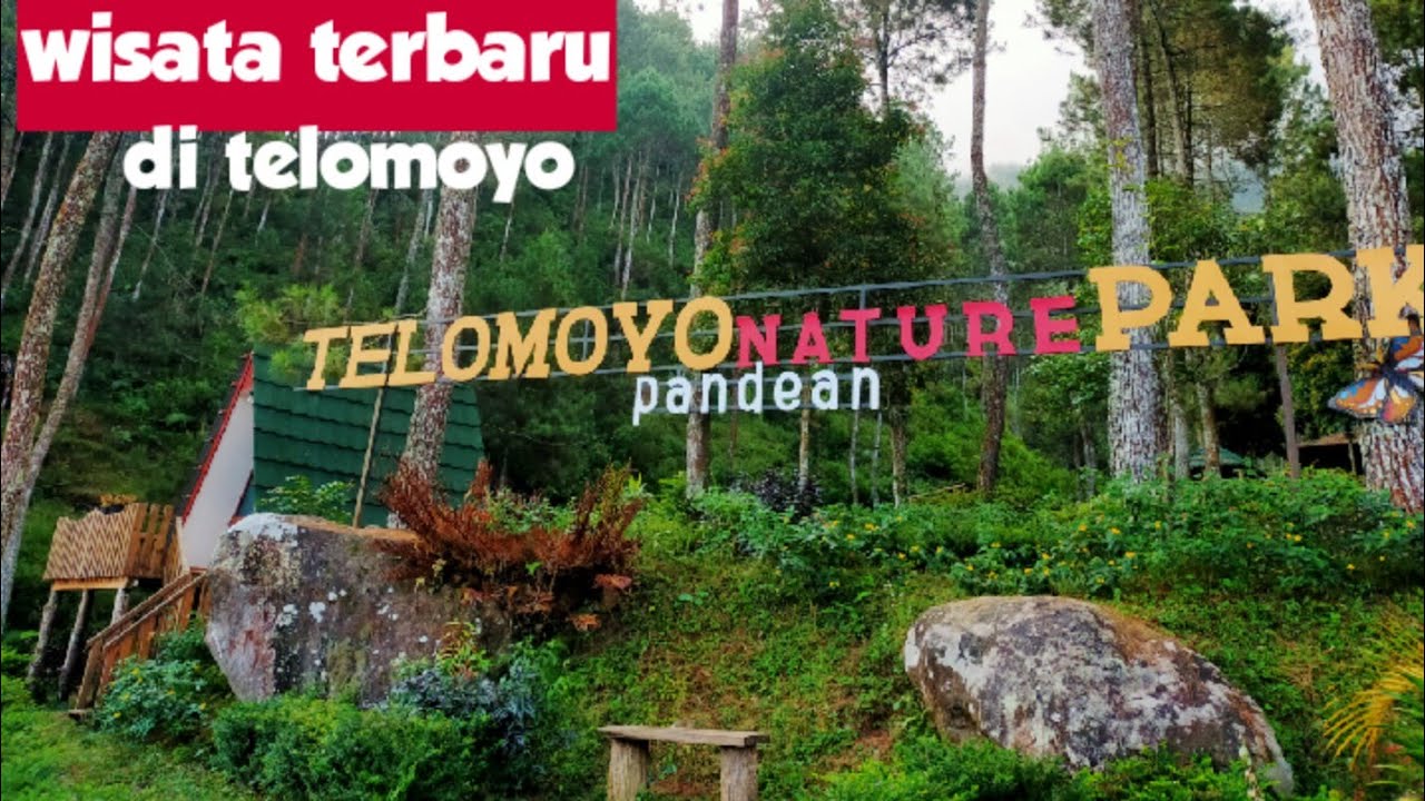 Telomoyo Nature Park: Surga Tersembunyi di Lereng Gunung